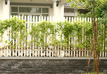 cac-kieu-hang-rao-cho-nha-ong-7 Kiến trúc nhà phố đẹp với hàng rào